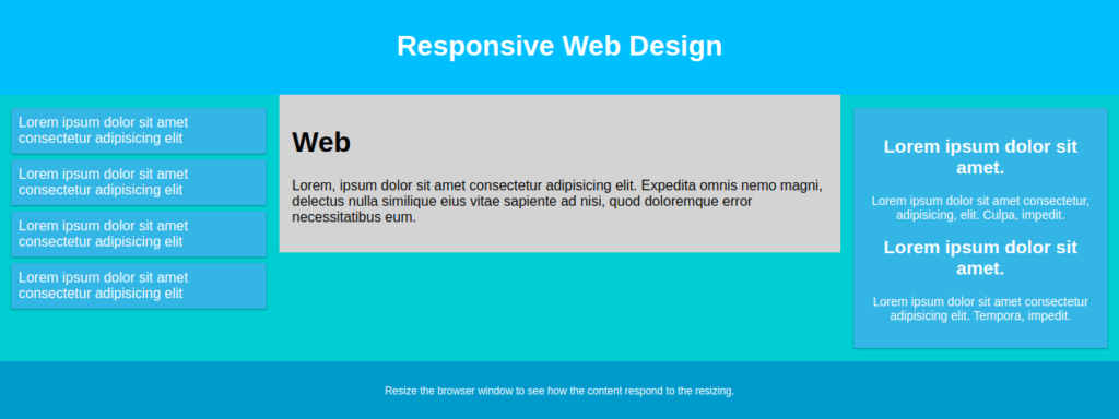 Responsive Web Design

