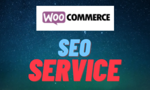 woocommerce seo service